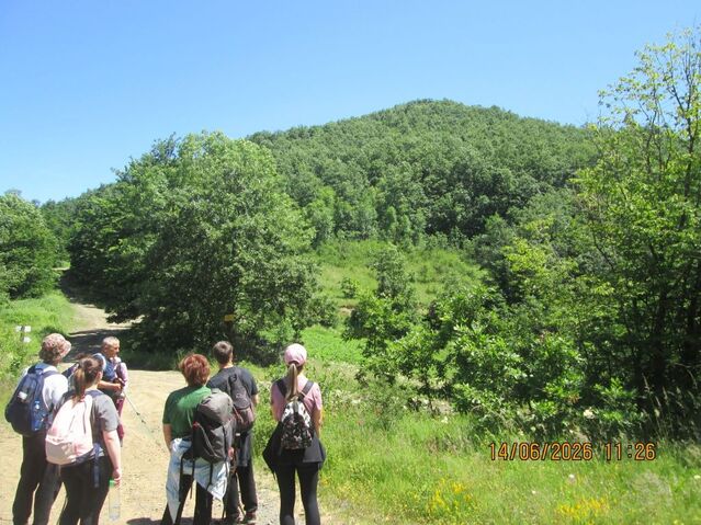 Pogled na vrh Drenovački kik.