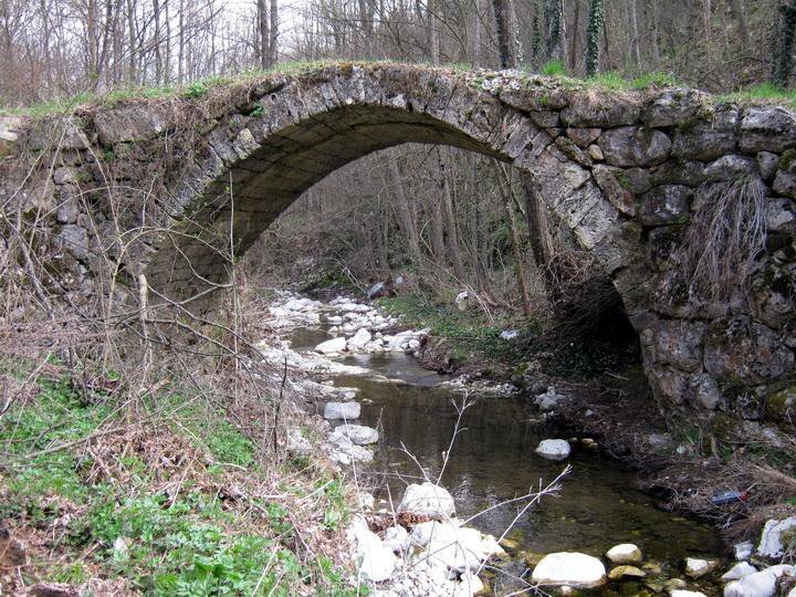 Blizanci